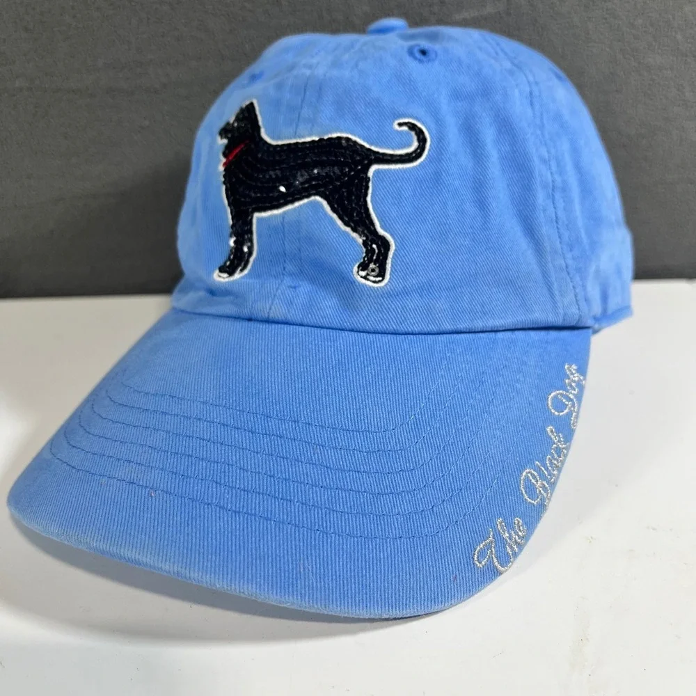 The Black Dog 47 Brand Kids Baseball Hat Blue Sequin Martha's Vineyard Cap
